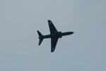DSC_8096.jpg