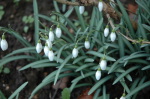 DSC_0165.jpg