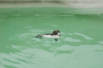 DSC_1433.jpg