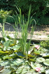 DSC_3663.jpg