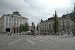 DSC_5785.jpg