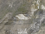 CIMG0423.jpg
