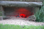 DSC_1247.jpg